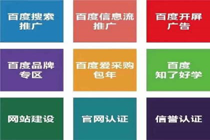 案例解读：网络推广与竞价策略